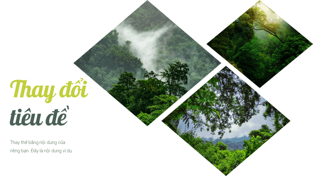 Mẫu Powerpoint về rừng xanh | Mẫu Slide Powerpoint - Slide Google ...