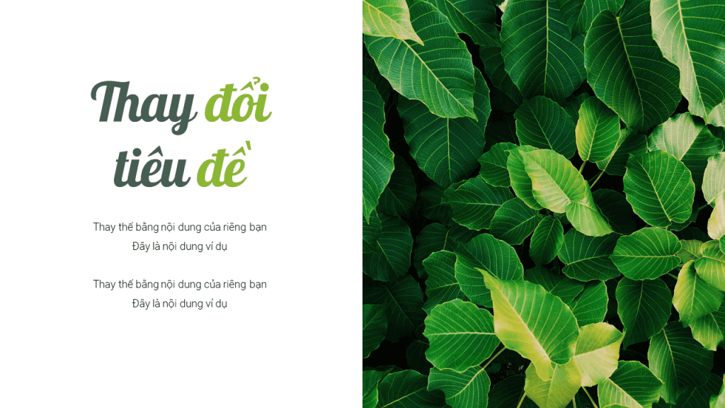 Mẫu Powerpoint về rừng xanh | Mẫu Slide Powerpoint - Slide Google ...