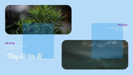 Slide19
