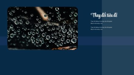 Slide28
