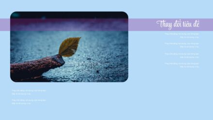 Slide9