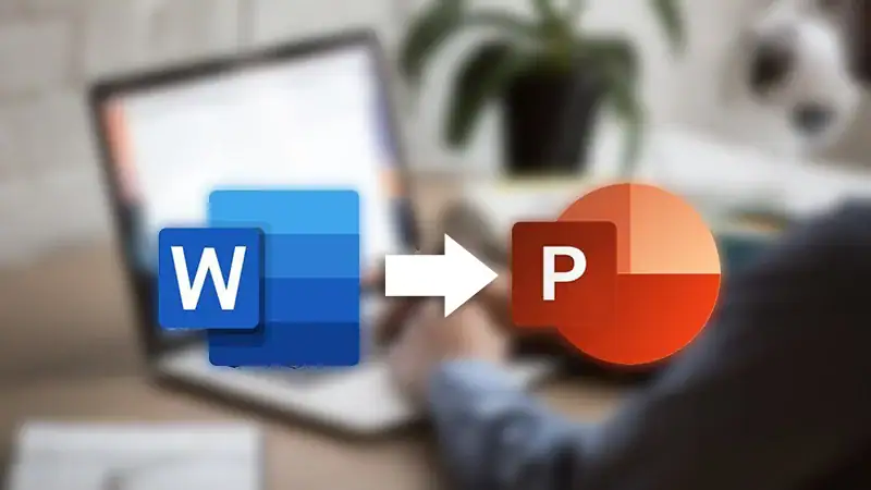 Lưu ý quan trọng