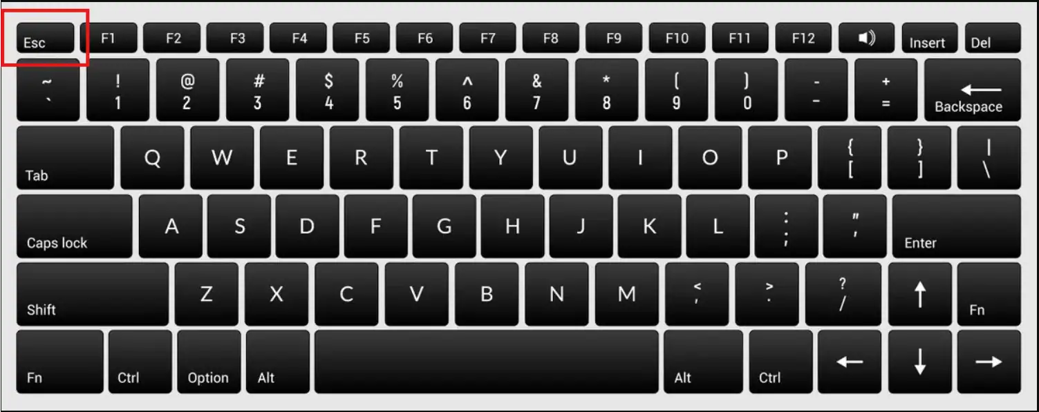 Lưu giữ các nét vẽ